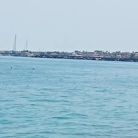 Tropicana מסקלי