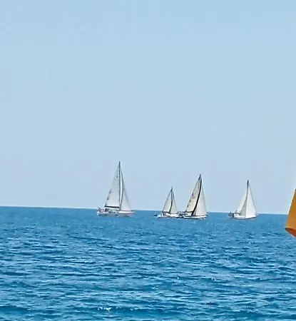 Tropicana מסקלי