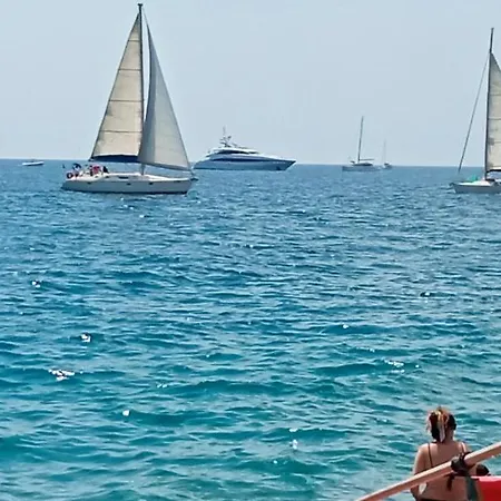 Tropicana מסקלי