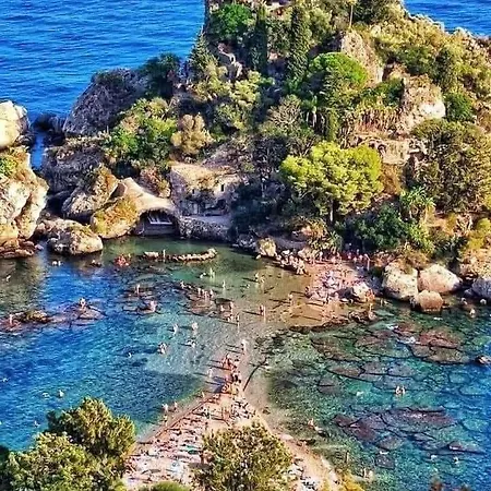 Tropicana * מסקלי